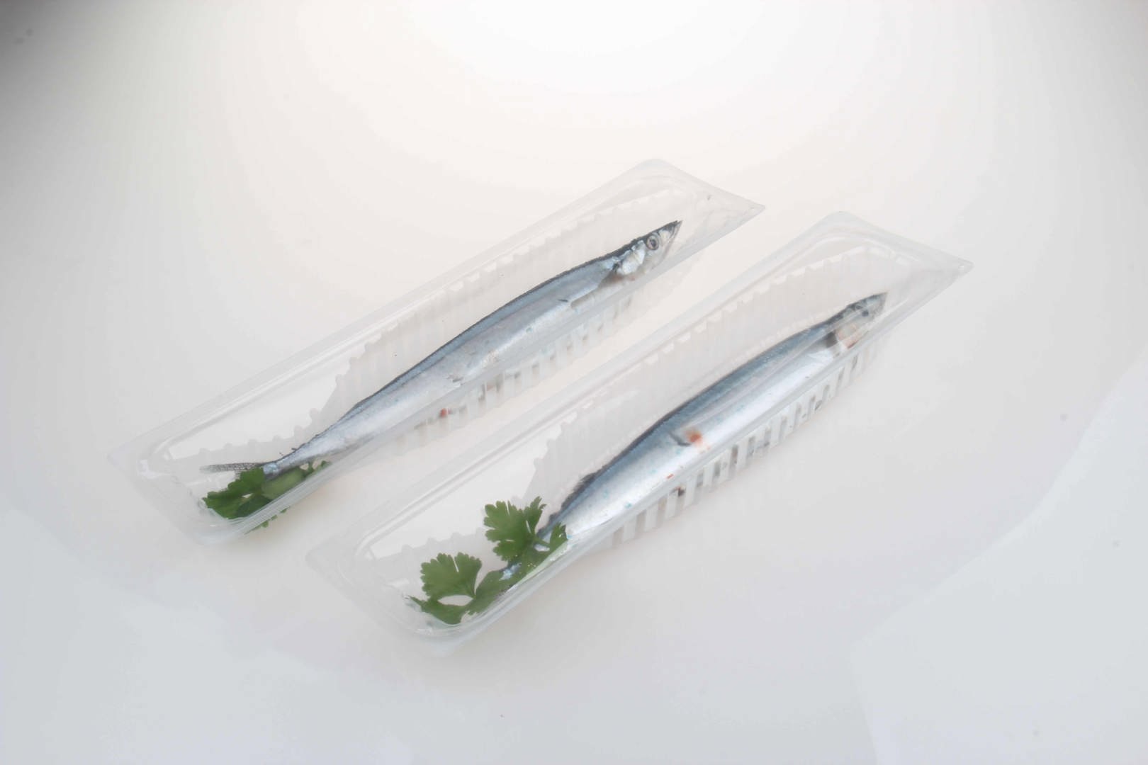 ӲĤȫ�Զ��ȳ���������װ��