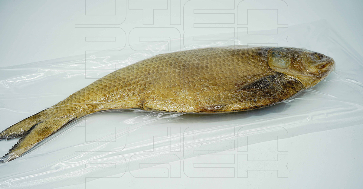 ������ȳ�����հ�װ