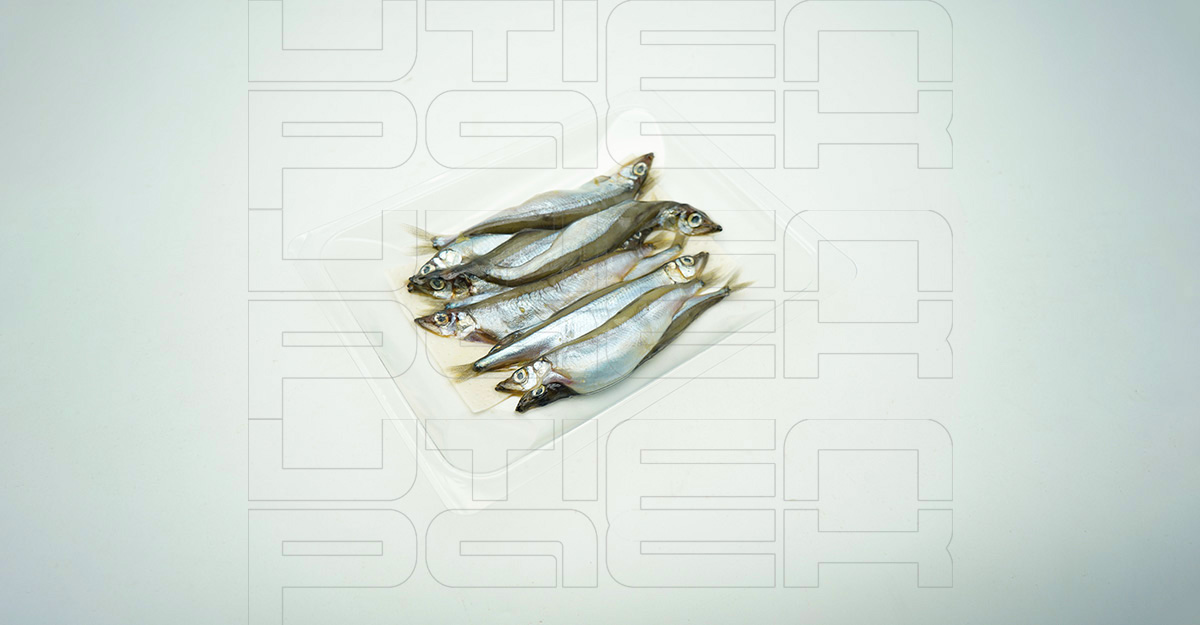 �ഺ���ȳ��������װ